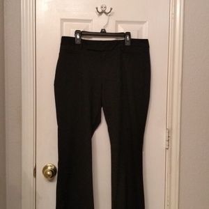 Gap modern boot cut pants